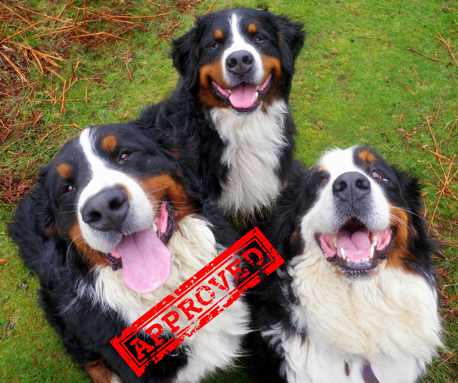 Nikon April 2012 221