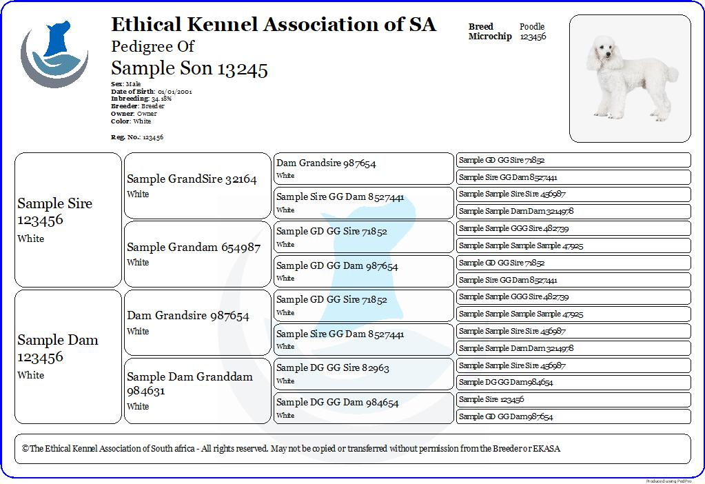 Pedigree sample with photo
